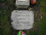image of grave number 279772